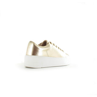 Como- Womens Lace up Contempoary Trainer-Gold