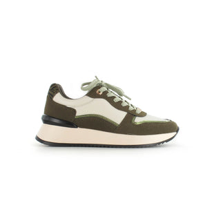 Nevada - £17.00 (14 Pairs)