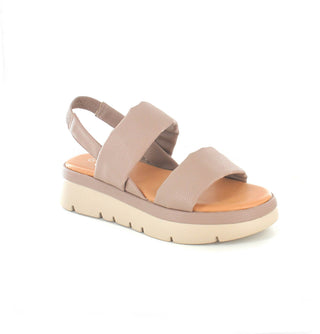 Sadie: £11.00 (14 Pairs)